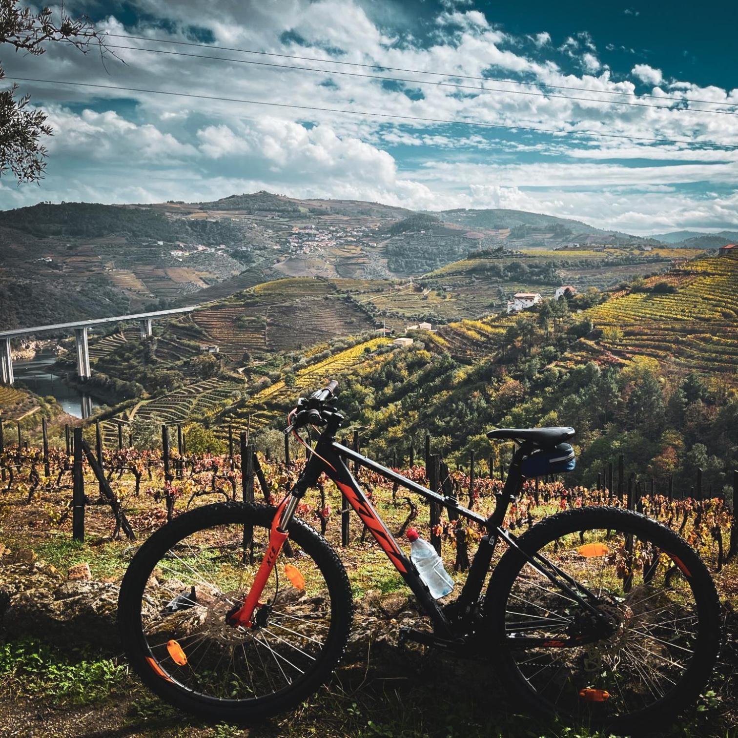 Solar Do Douro Βίλα Santa Cruz do Douro Εξωτερικό φωτογραφία